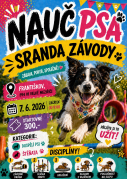 Nauč psa: Sranda závody