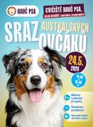 Sraz australských ovčáků