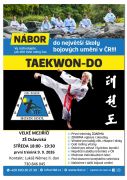 Taekwon-Do