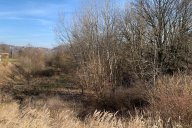 Studie ukáže, co s roklí