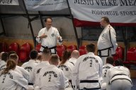 Příznivci umění Taekwon-do se sešli na Sportovní ulici