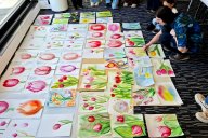 Tulipánový akvarel v Jupiter clubu