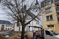 Sakury u tělocvičny čeká výměna