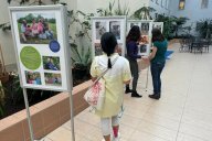 Květen bude patřit náhradní rodinné péči