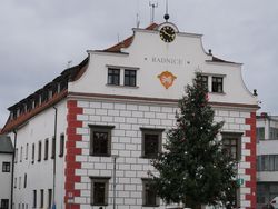radnice foto