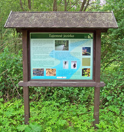 LP Balinské_údolí_6