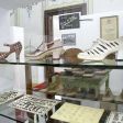 Muzeum