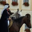 Oslavy výročí 600 let udělení plných městských práv