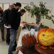 IMG_9356_8748_800_600_80-4171.JPG