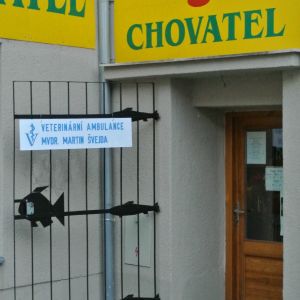 Veterinární ambulance