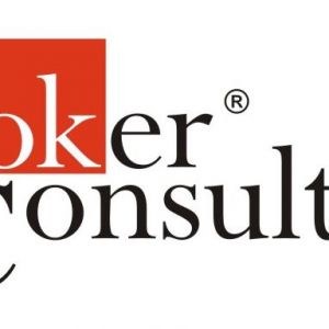 Lukáš Navrátil - Broker Consulting