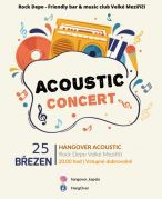 Acoustic concert