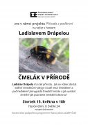 Čmelák v přírodě