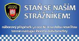 přijmeme strážníka